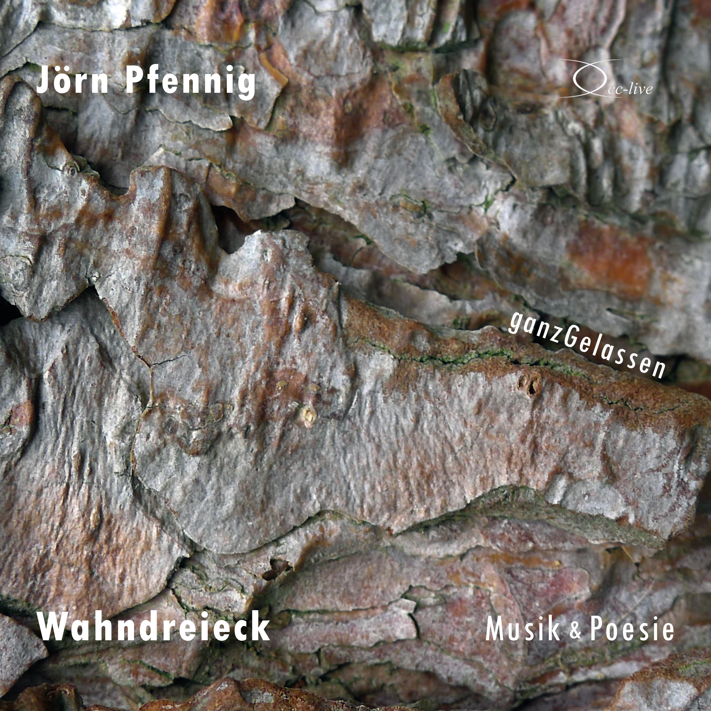 Wahndreieck - Musik & Poesie